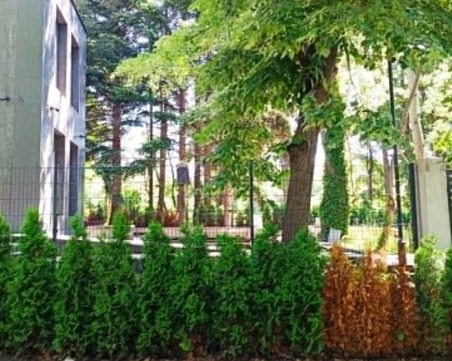 ГЕРБ-Варна алармира за пореден незаконен строеж в града