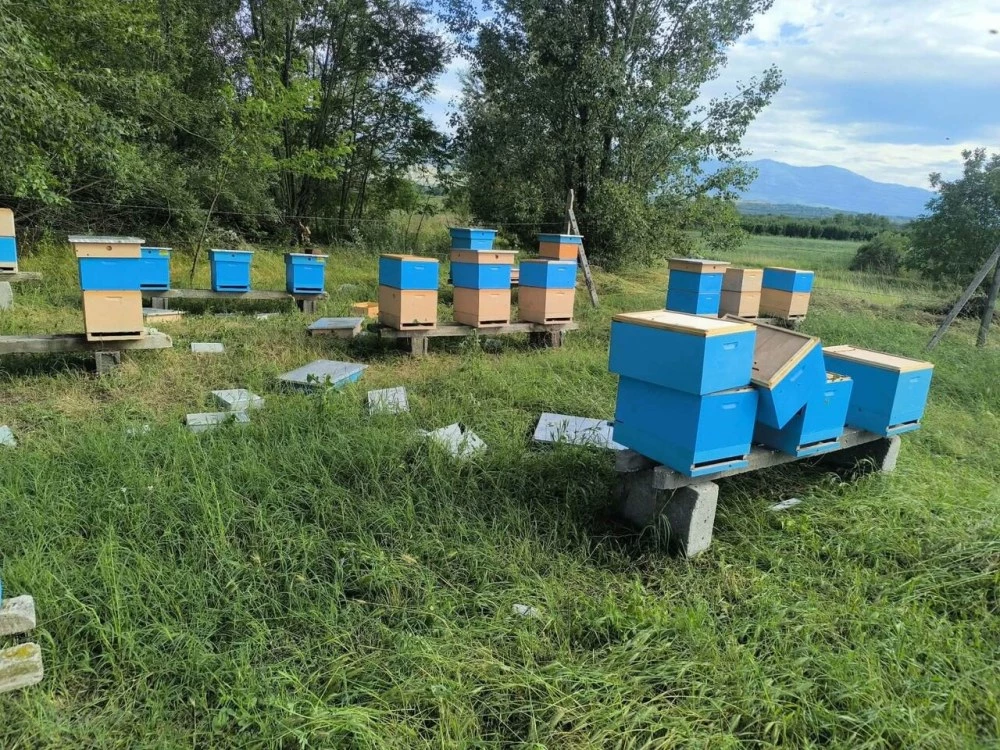Бурята в Йоаким Груево съсипа близо 30 кошера на млади пчелари