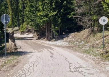 Асфалтират участъци от алтернативното трасе над свлачището край Пампорово
