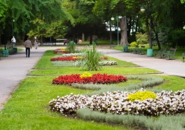 Слънце и 29 градуса в Пловдив днес: Идеална неделя за разходка под тепетата