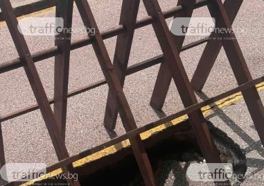 Опасна дупка се е образувала на алеята на Гребната база