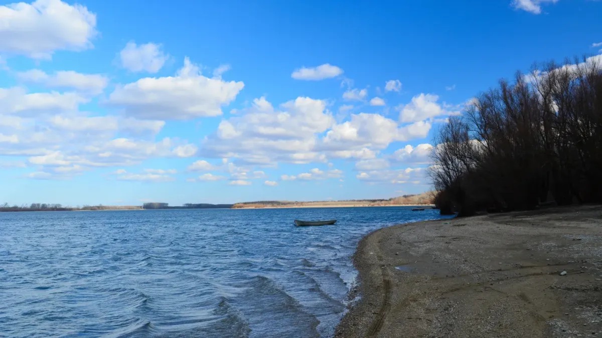 Труп на мъж изплува от водите на река Дунав край