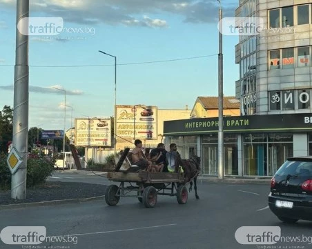 Въпреки забраната: Препълнена каруца шпори из пловдивските булеварди