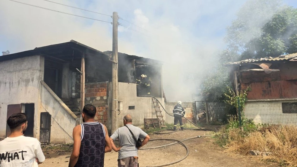 30 овце бяха спасени при пожар в асеновградското село Боянци