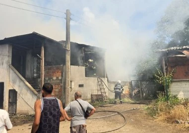 30 овце бяха спасени при пожар в асеновградското село Боянци