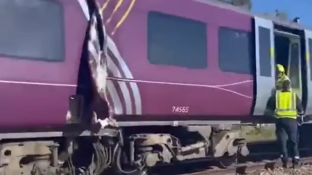 Британската транспортна полиция съобщи в петък че реагира на съобщения