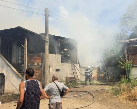 30 овце бяха спасени при пожар в асеновградското село Боянци
