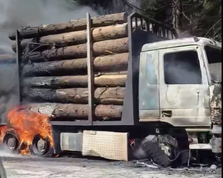 Претоварен с дървесина камион се подпали в Смолянско