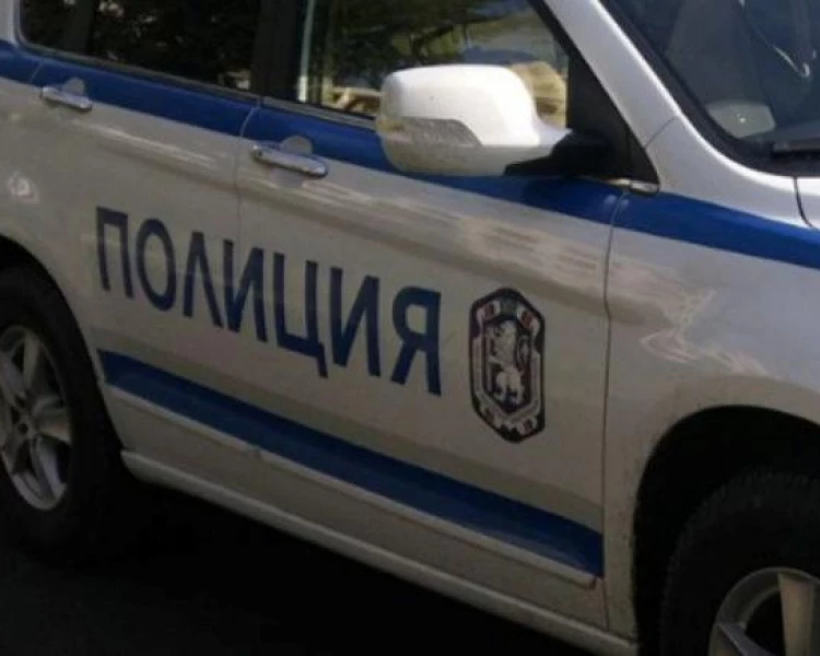 Жена и четирима мъже са глобени за хулиганство срещу полицаи в Пловдив