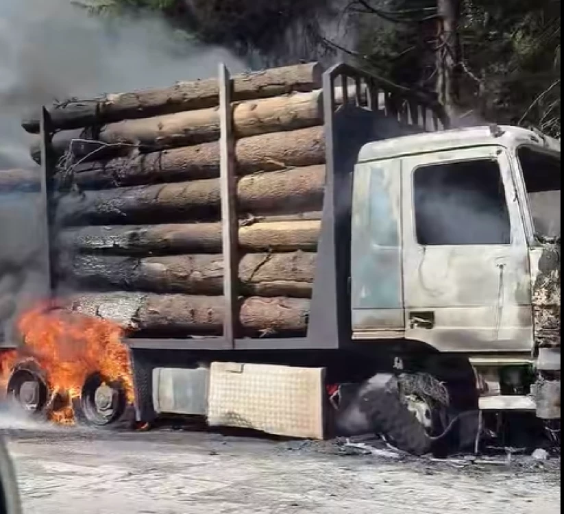 Претоварен с дървесина камион се подпали в Смолянско