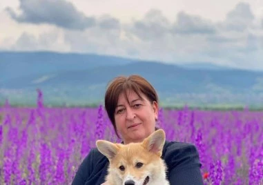 Отиде си журналистът и пиар Ели Куманова