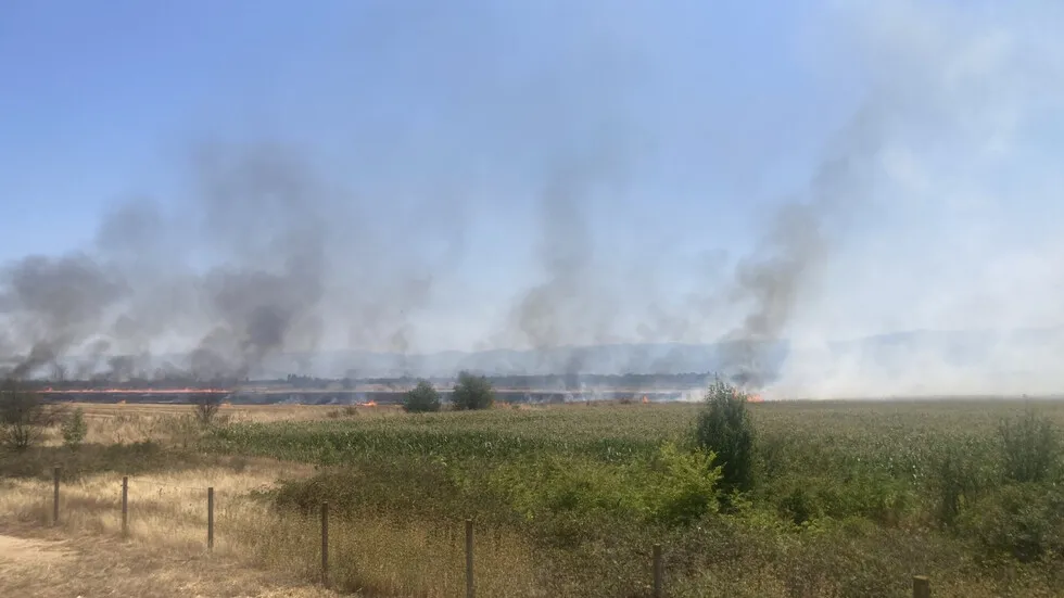 Спряха движението на Тракия край Ямбол заради запалени храсти