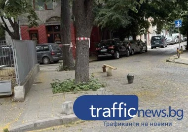 Строеж или частен паркинг? Жители сигнализират за самоволно блокиране на паркоместа в Пловдив