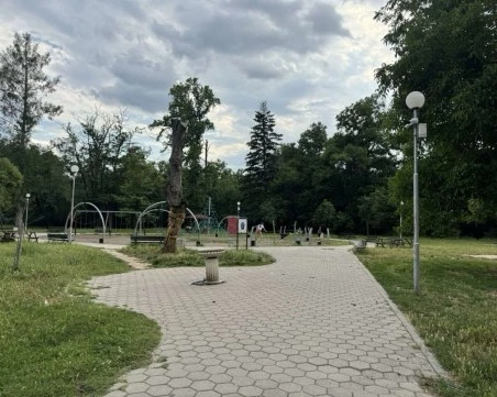 Парк „Розариум