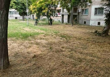 След публикация на TrafficNews: Окосиха джунглата на бул. „Цариградско шосе