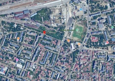 Кастренето на дървета спира движението на автомобили по улица в Южен
