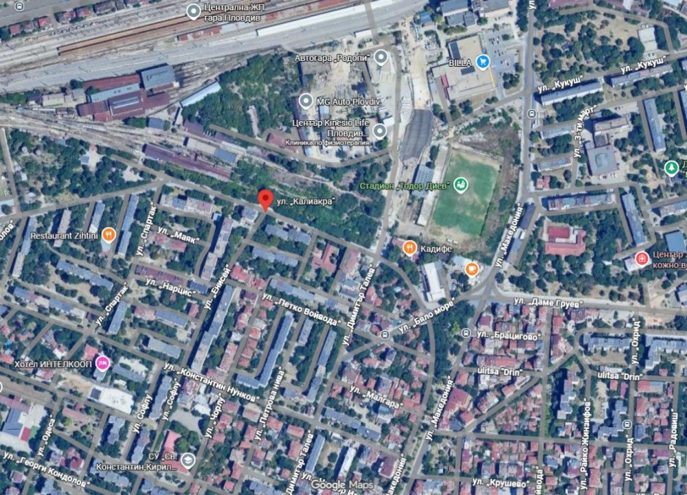 Кастренето на дървета спира движението на автомобили по улица в Южен