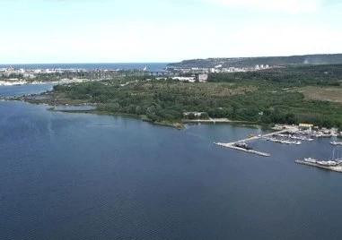 Високи нива на амониев азот и фосфор вероятно са убили рибата във Варненското езеро
