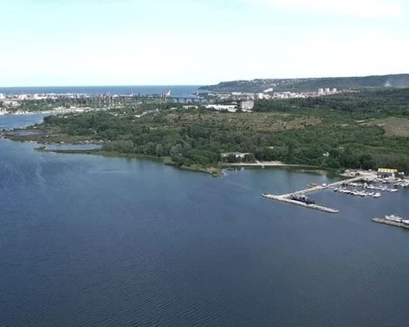 Високи нива на амониев азот и фосфор вероятно са убили рибата във Варненското езеро