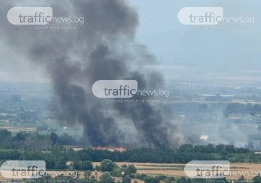 Пожар лумна край Пловдив, четири екипа на пожарната и доброволци гасят ВИДЕО