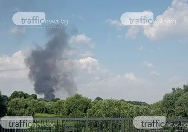 Пожар гори край Пловдив, черният пушек се вижда в целия град