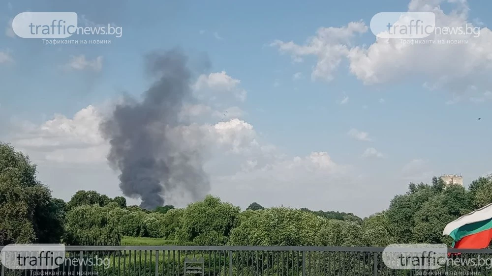 Пожар гори край Пловдив, черният пушек се вижда в целия град