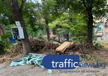 Купища отпадъци празни кашони стари вещи и дори изхвърлена щора