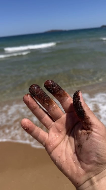 Въпреки мазута: Морската вода край Бургас не е замърсена