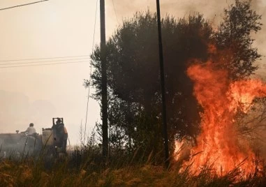 Двама души загинаха в горски пожар край Солун