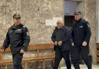 10 години затвор за тираджия убил 9-годишни момиче на „Хаинбоаз”