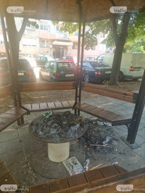 Среднощен вандализъм в Пловдив: Пияна компания подпали беседка, десетки коли - на косъм от палеж