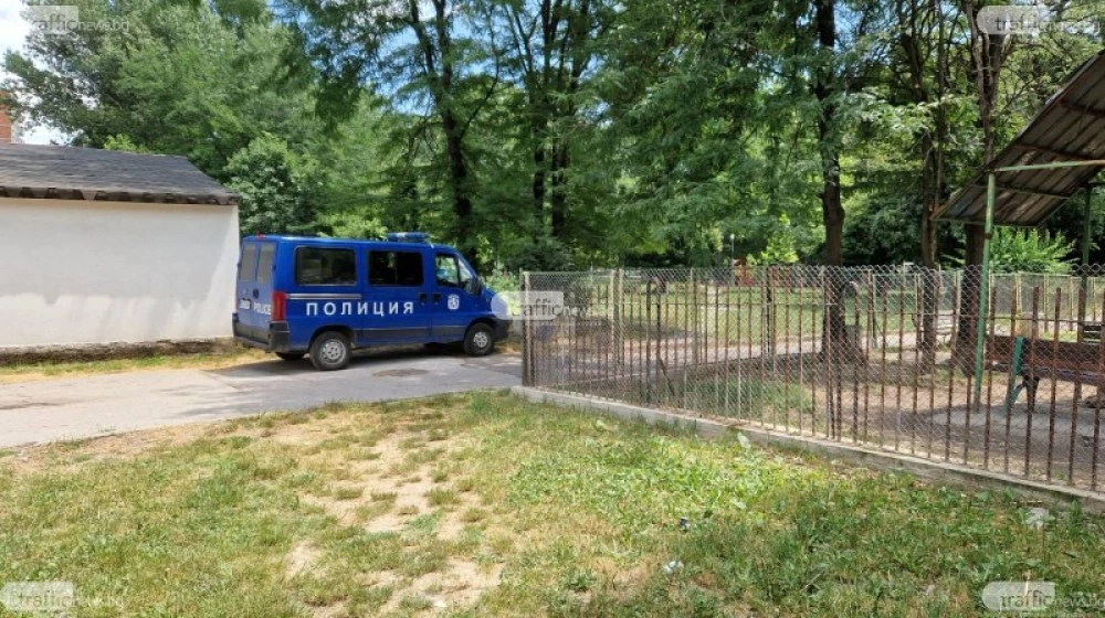 Падна глоба за разходка на куче в пловдивски парк заради... „невидима