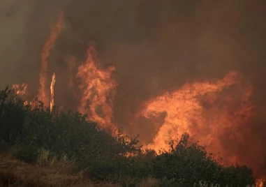 Три големи пожара бушуват в Турция, над 1100 души са евакуирани