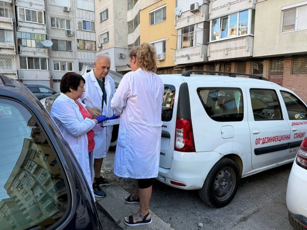 Извършиха извънредна дератизация заради плъха в пощенските кутии в Пловдив ВИДЕО