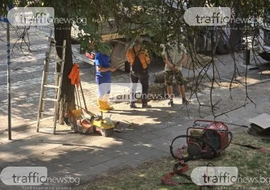 Само ден след като TrafficNews сигнализира за зейнал опасен кратер