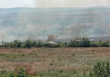 Евакуираха около 50 души заради пожар край Кошарица