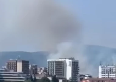 Пожар гори в Свети влас