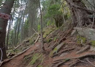 Пожарникари от Смолян оказаха помощ на пострадала туристка в труднодостъпен