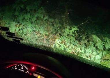 Лятната буря която и в момента е над Пловдив е
