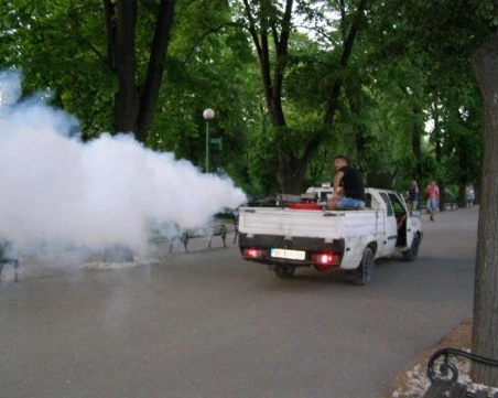 Пръскат срещу комари в Пловдив! Вижте графика