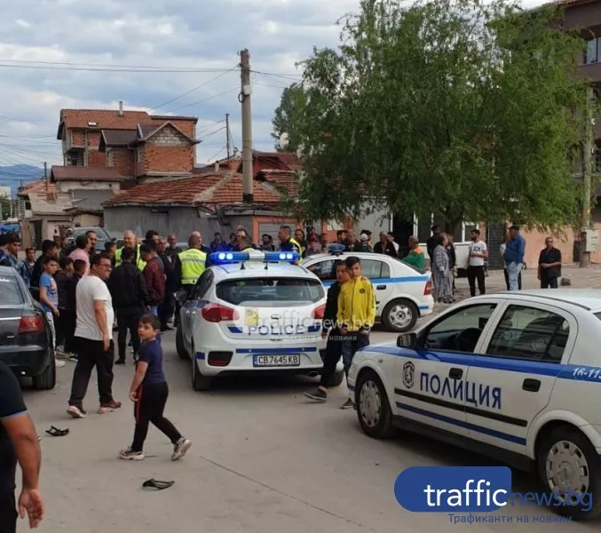 Поредна жестокост в Пловдив: Хвърлиха кученце от блок в „Столипиново”, падна на сантиметри от дете