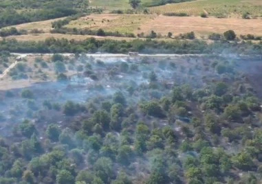 Пожар обхвана над 220 декара сухи треви и храсти на
