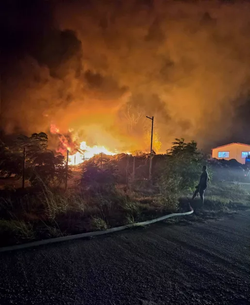 50 огнеборци се борят с пожара край Асеновград, огънят е обхванал и депо за автобуси