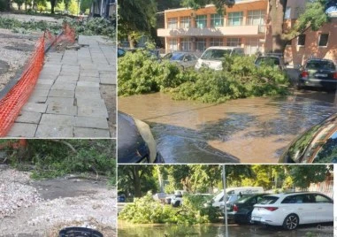 Живущи в район Централен изразиха недоволството си от липсата на