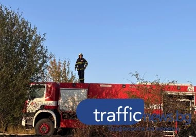 96 пожара са потушени в страната за денонощие, един човек е загинал