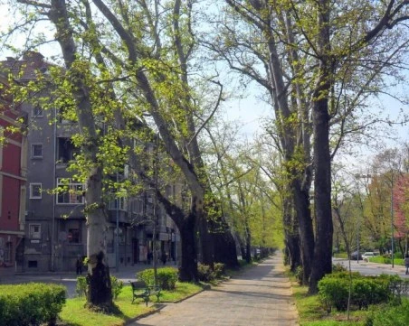 Време ли е бул. „Руски