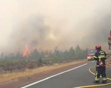 Българин във Франция: Евакуацията край Бордо е най-голямата в мирно време в страната