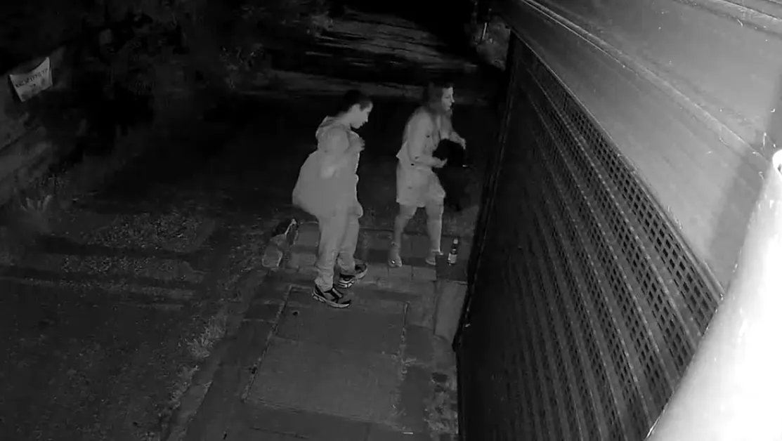 Хванати в крачка: Мъж и жена изоставиха котка посреднощ в София