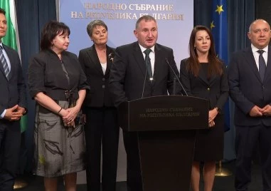 Янев: Днес е исторически ден - тайната на вота на незрящите вече е обезпечена в Изборния кодекс