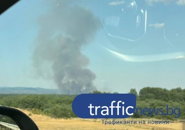Голям пожар застрашава гориста местност крах Брезово